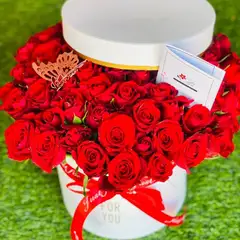 Box Of Love - 50pcs
