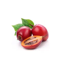 Tree tomatoes - ibinyarwanda 500gr