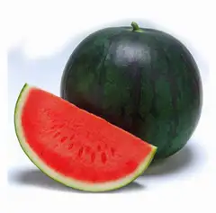 Dork green watermelon