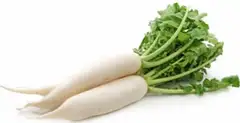 Radish white (bunch)