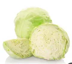 White cabbage