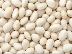 Organic white beans 1kg