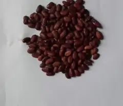 Dry red beans 1kg