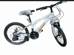 Bicycle 5 Silves