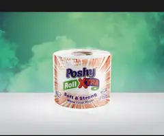 Extra toilet paper
