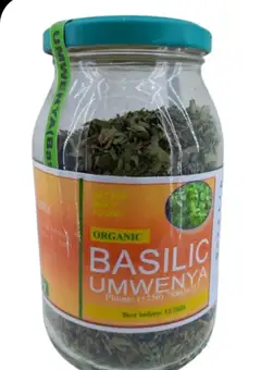 GPP umwenya basilic