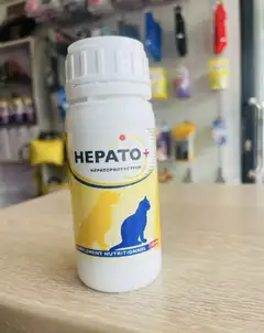 Hepato +