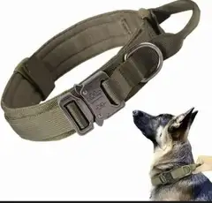Durable military Dog collars
