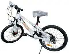Bicycle .12