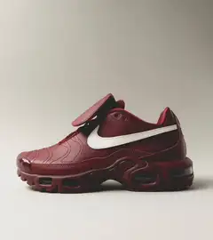 Nike Air max plus tiempo