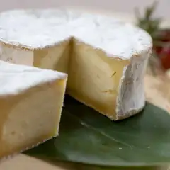 CAMBERT Cheese Per PC