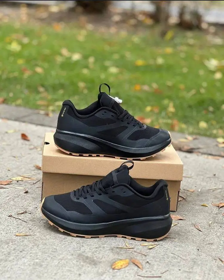 Salomon Ultra Glide 2 GORE-TEX