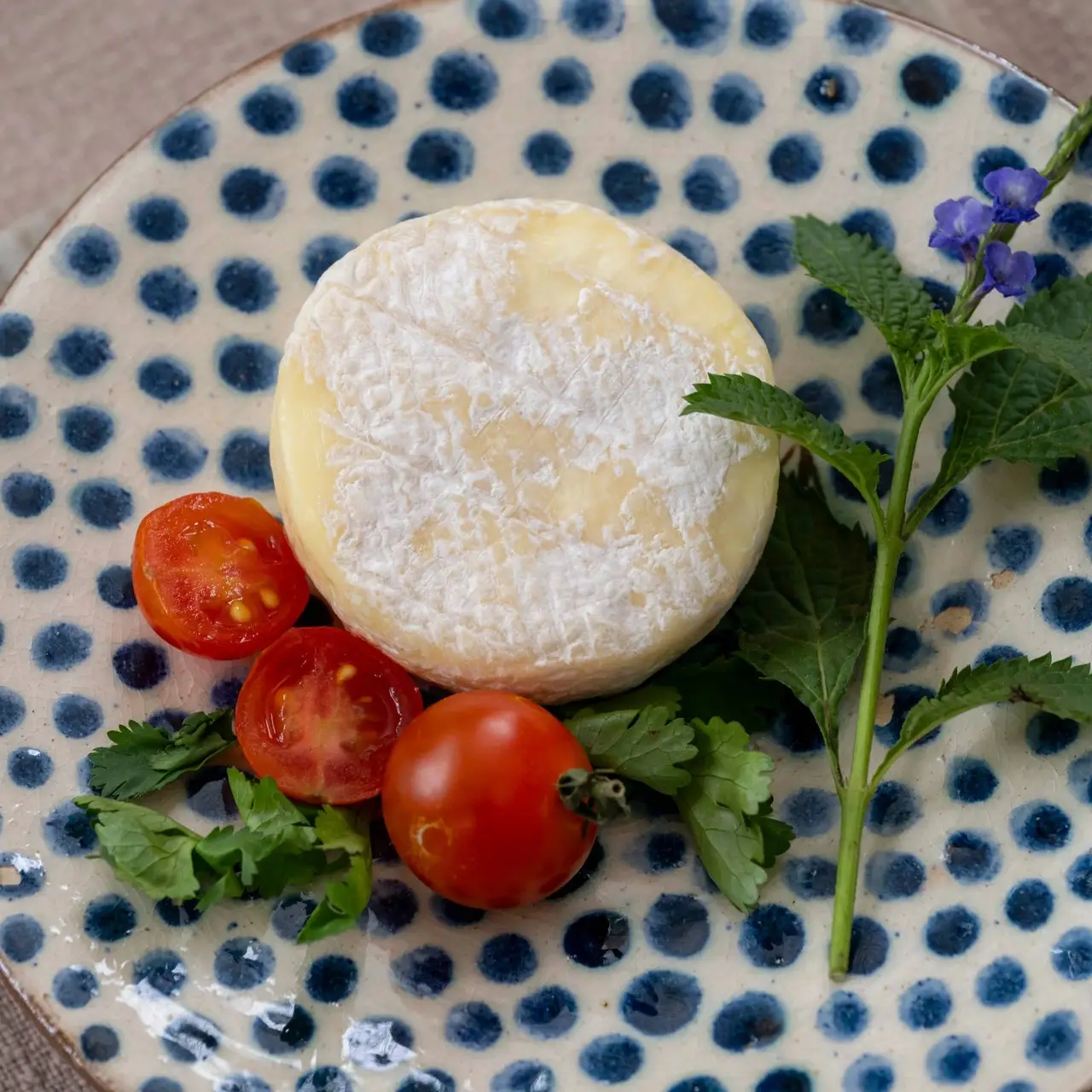 CROTTIN DE VACHE(COW CHEESE) Per PC