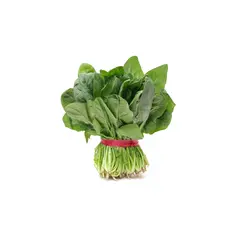 Spinach bunch