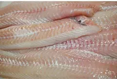 Captain fish fillet 1/2