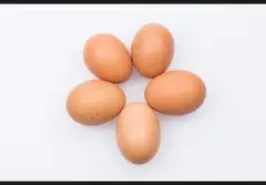 15 Eggs pondeze