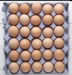 Local Eggs (Tray of 30)