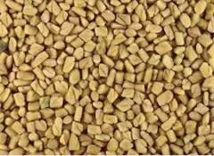 Fenugreek Seeds 100g