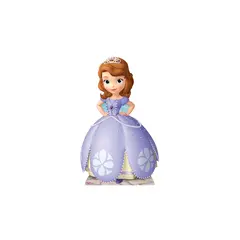 Flash IC Princess Sofia