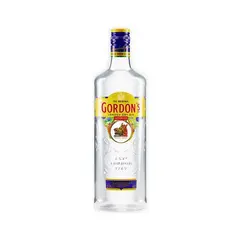 GORDONS GIN 1L