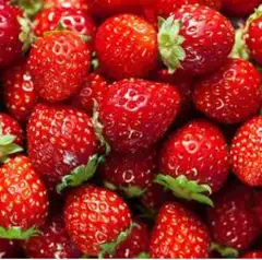 Fresh strawberry small box