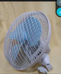 Fan