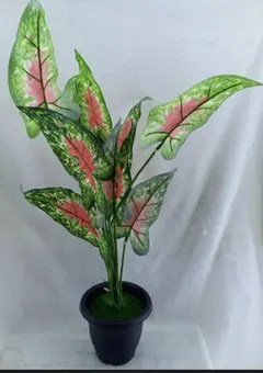 Plastic flower 4