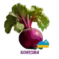 Boriska Russian Restaurant